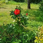La Cassine