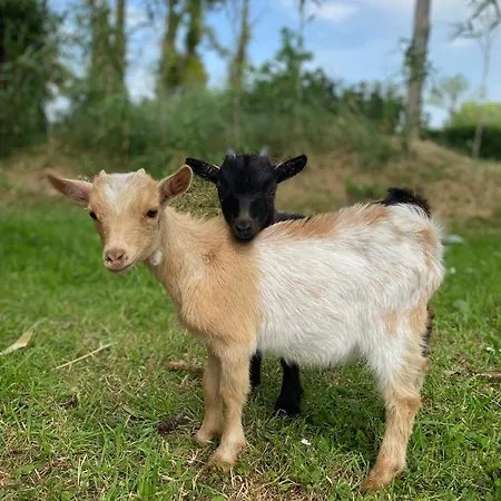 La Cassine Tatil Evi