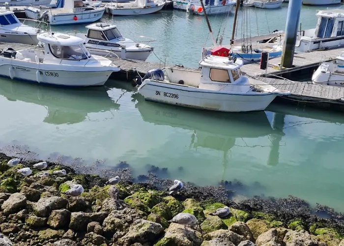 Casa de Férias La Cassine Taillant