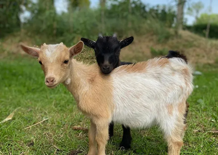 La Cassine Casa de Férias